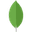 MongoDB
